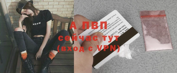 молекула духа Гусиноозёрск