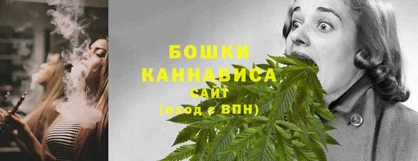прущие грибы Горно-Алтайск