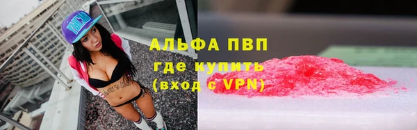 прущие грибы Горно-Алтайск