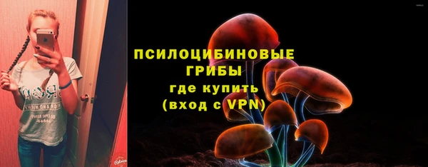 прущие грибы Горно-Алтайск
