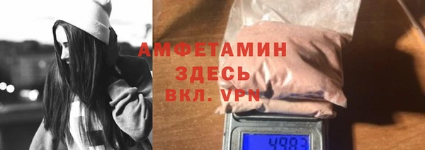прущие грибы Горно-Алтайск