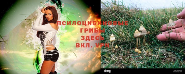 марки lsd Горняк