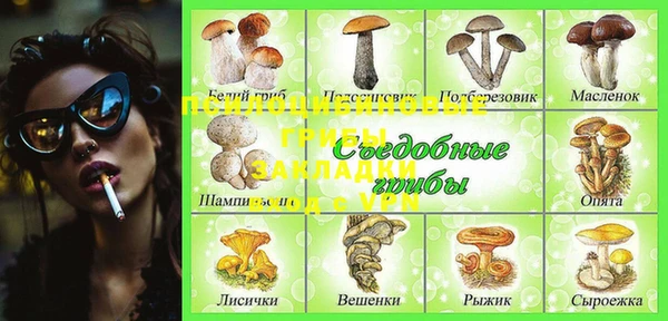 прущие грибы Горно-Алтайск
