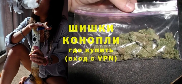 ГАЛЛЮЦИНОГЕННЫЕ ГРИБЫ Гусь-Хрустальный