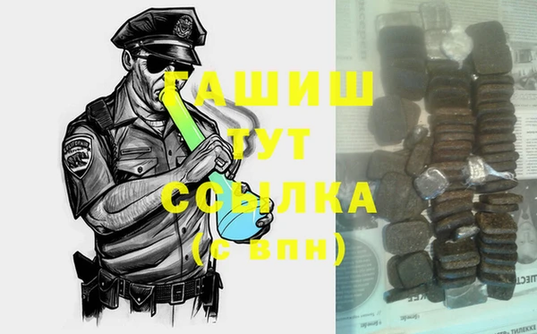 прущие грибы Горно-Алтайск