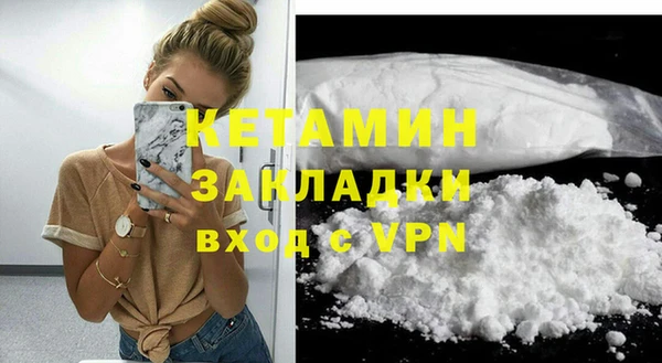 прущие грибы Горно-Алтайск