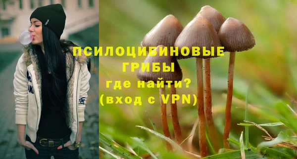 ГАЛЛЮЦИНОГЕННЫЕ ГРИБЫ Гусь-Хрустальный