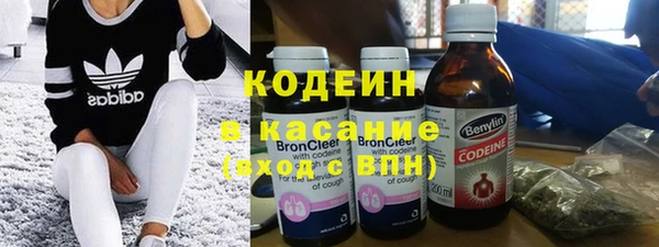 прущие грибы Горно-Алтайск