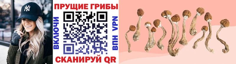 Галлюциногенные грибы мухоморы  Купить  Кореновск 